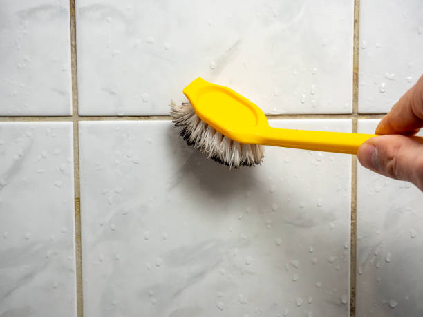 Best Attic Mold Removal  in Oblong, IL