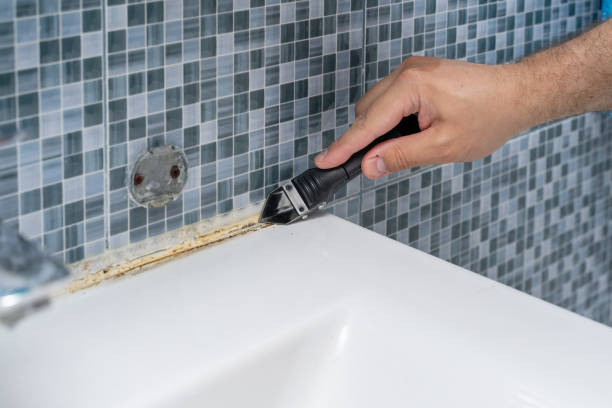 Best Certified Mold Removal  in Oblong, IL