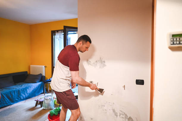 Best Black Mold Removal  in Oblong, IL